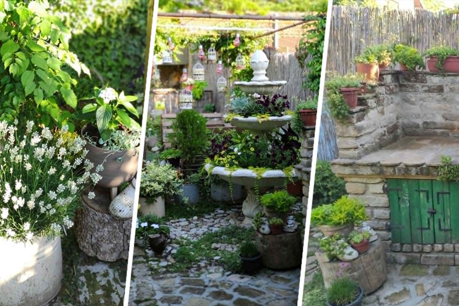 Izbor za najlepše dvorište Subotice - pogledajte prijave i glasajte za vašeg favorita