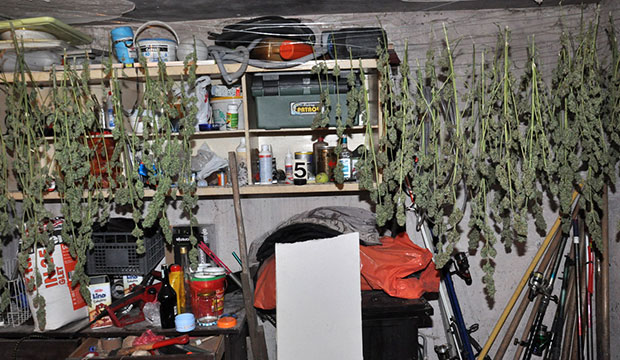 Uhapšen osumnjičeni za neovlašćenu proizvodnju i stavljanje u promet opojnih droga