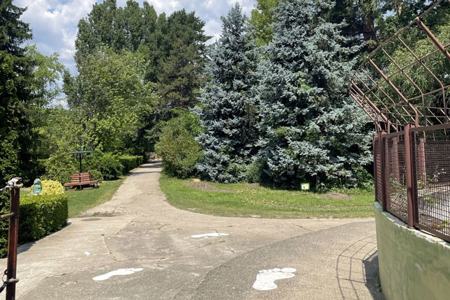 Dva mladunca arktičkog belog vuka prinove u zoo-vrtu