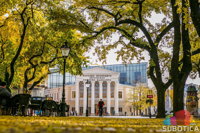 Sadnja drveća se odvija redovno, ali ne može bilo gde