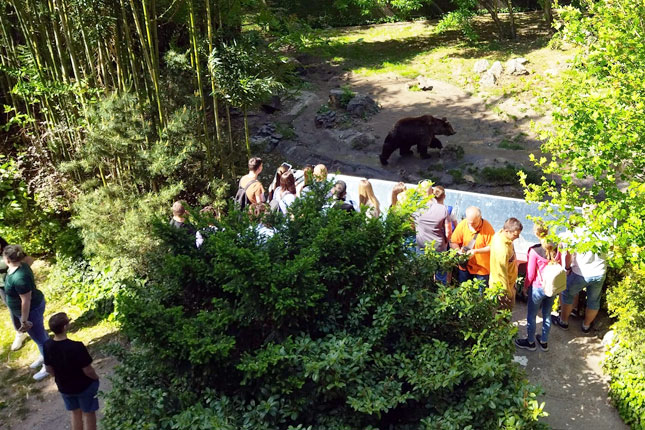 Novo dečje igralište, učionica na otvorenom i "baby zoo" u zoo-vrtu na Paliću