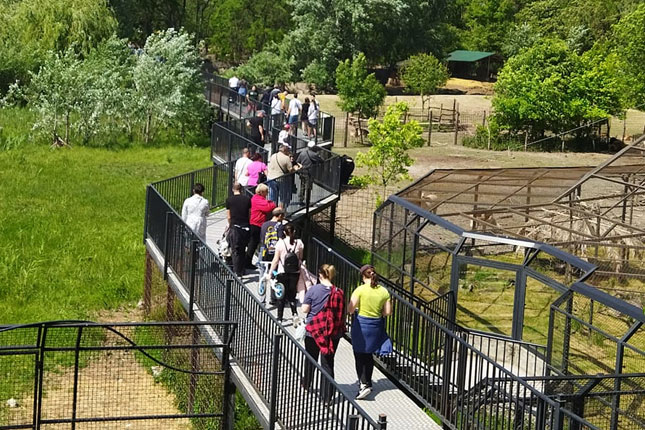Novo dečje igralište, učionica na otvorenom i "baby zoo" u zoo-vrtu na Paliću
