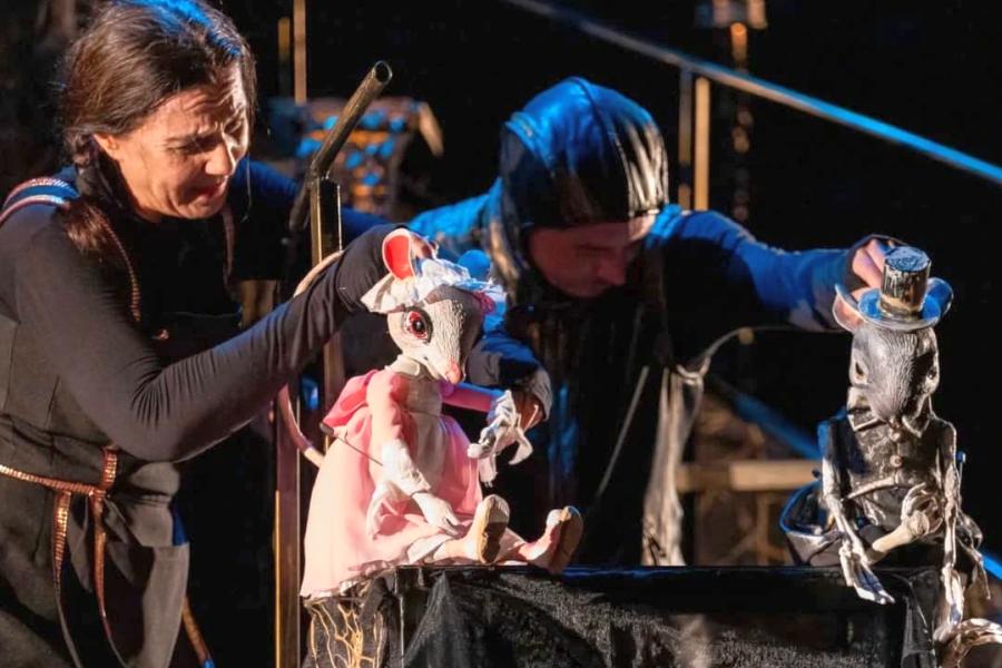 "Želim da budem normalan" najbolja predstava međunarodnog festivala lutkarstva u Podgorici