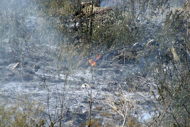 Deponija u Bajmoku tinja već dva meseca