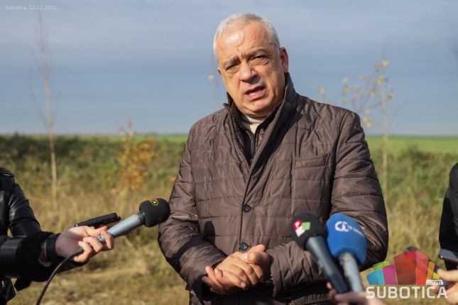 U toku podizanje vetrozaštitnog pojasa u okolini Pačirskog puta