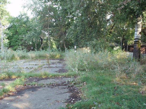 Rešena pištaljka! - Sređivanje sportskog terena na Paliću