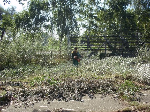 Rešena pištaljka! - Sređivanje sportskog terena na Paliću