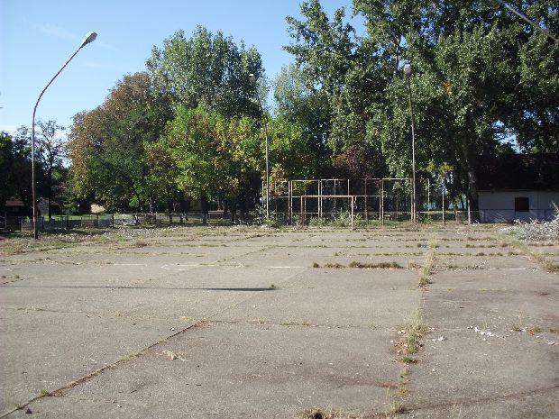 Rešena pištaljka! - Sređivanje sportskog terena na Paliću