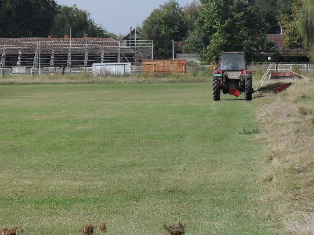 Rešena pištaljka! - Sređivanje sportskog terena na Paliću