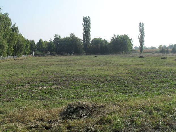 Rešena pištaljka! - Sređivanje sportskog terena na Paliću