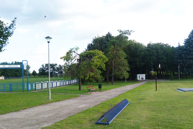 Seoska proslava podelila Bačko Dušanovo