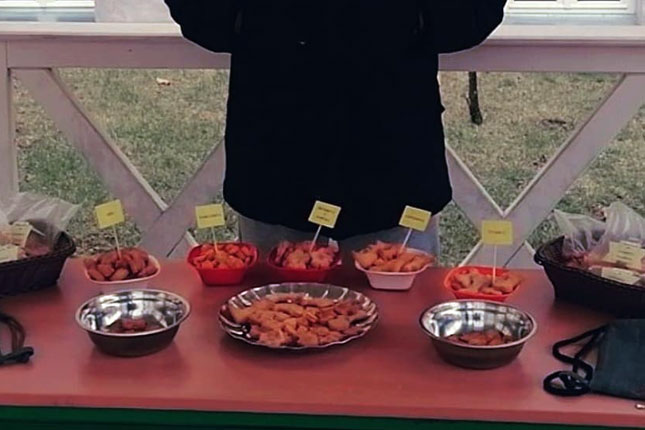 Učenici Hemijsko-tehnološke škole napravili odeću i hranu za pse