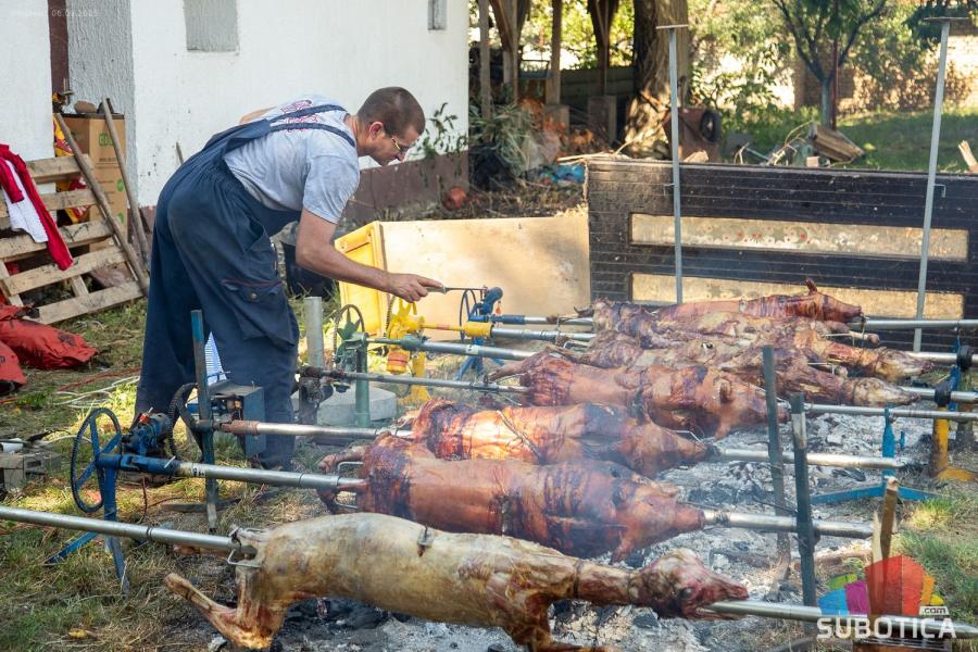 Festival domaće hrane u Višnjevcu - gastro manifestacija koja iz godine u godinu jača potencijal