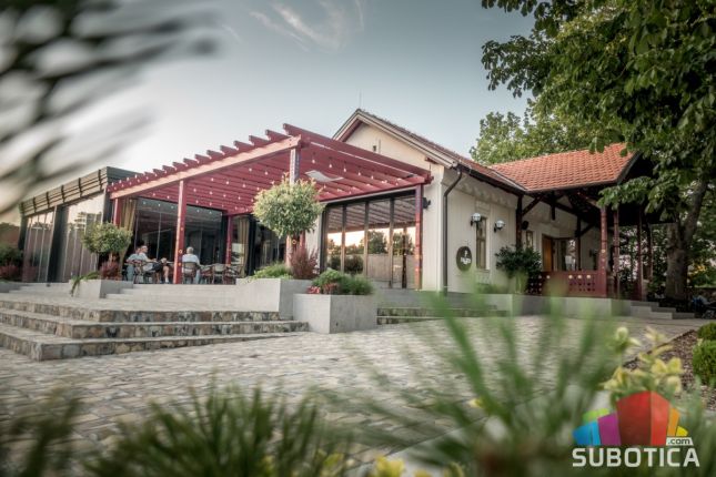 Predavanja, film i nadletanje aviona u čast Ivanu Sariću u restoranu "Paligo palata"