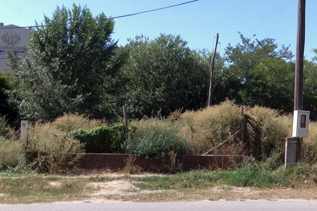 Košenje ambrozije započeto još u maju