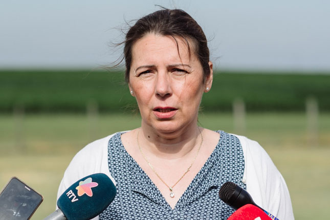 Održano tradicionalno košenje žita – ris, deo proslave "Dana Dužijance"