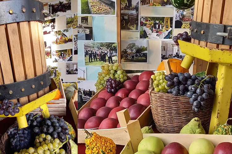 Tavankut u znaku voća i rukotvorina: festival spaja tradiciju i zajedništvo