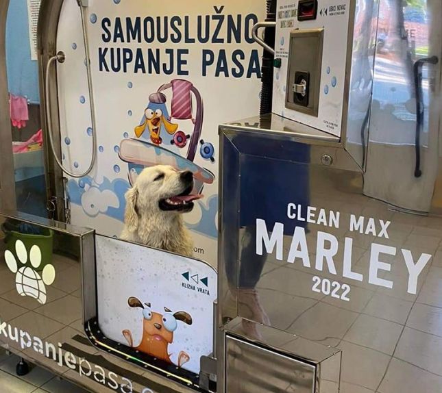 Vikend besplatnog kupanja u samouslužnoj perionici pasa preko puta Sinagoge - ponesite peškir