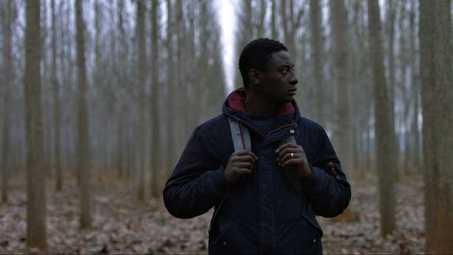 Festival evropskog filma Palić - dvanaest filmova u glavnom takmičarskom programu