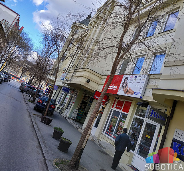 Počinje zamena postojećih stabala u Nušićevoj ulici