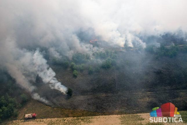 Veliki požar u Radanovačkoj šumi, borba sa vatrenom stihijom trajala više od 5 časova