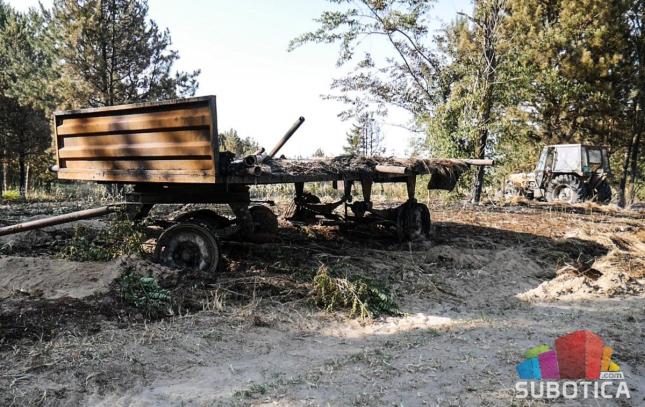 Izgorelo 20 hektara zaštićenog područja Radanovačke šume