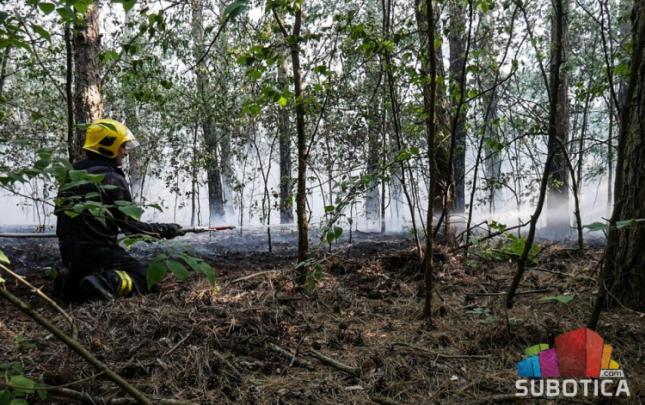 Izgorelo 20 hektara zaštićenog područja Radanovačke šume