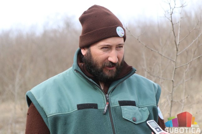 Šafranjika - jedna od najlepših, ali i najugroženijih vrsta u našoj zemlji