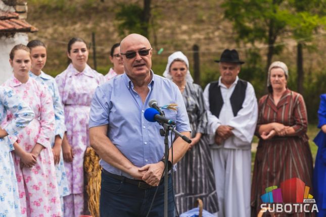 Prikazan ris - bunjevački običaj košenja žita