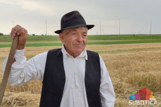 Prikazan ris - bunjevački običaj košenja žita