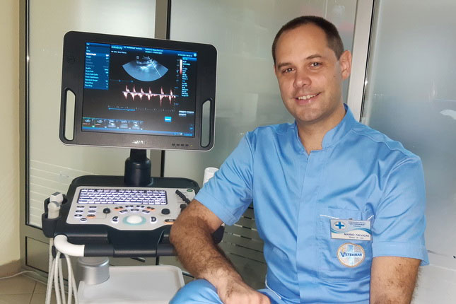 Kako zaštititi ljubimce od tropskih vrućina?