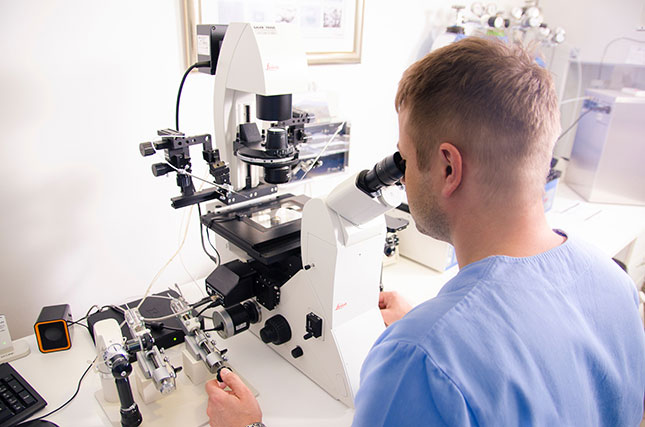 Sve što treba da znate o vantelesnoj oplodnji - kako izgleda i kada je vreme za nju