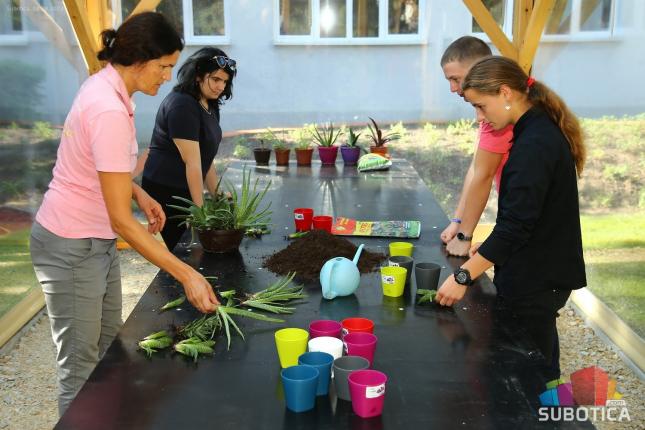 Dvorište škole "Dr Svetomir Bojanin" preuređeno u senzorni vrt