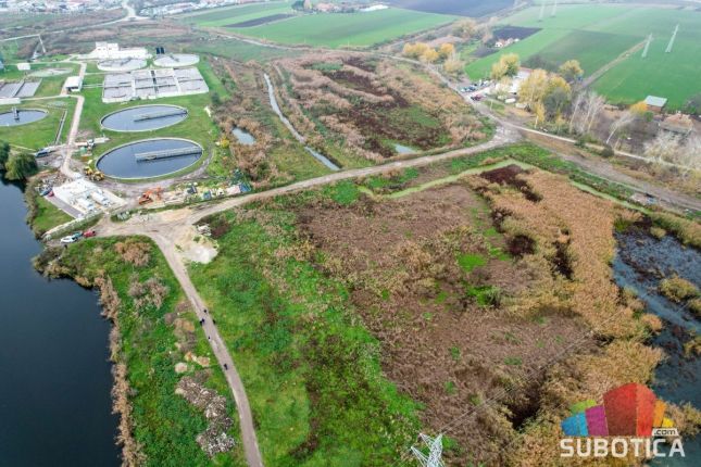 Divlja deponija nekoliko metara od obale jezera Palić