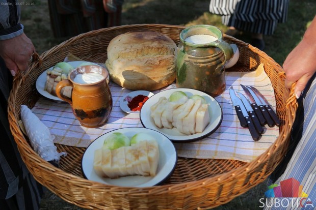 U Đurđinu održano takmičenje risara