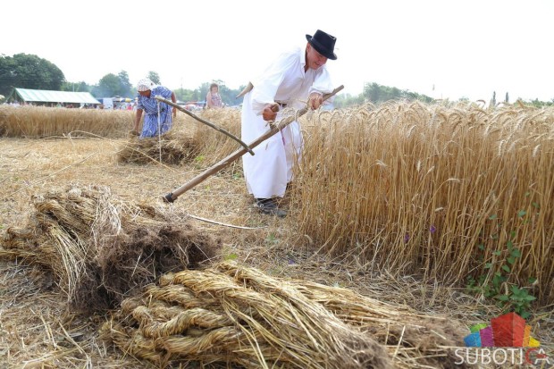 U Đurđinu održano takmičenje risara