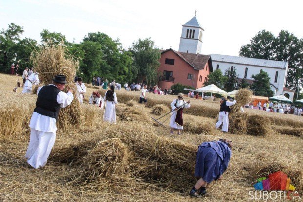 U Đurđinu održano takmičenje risara
