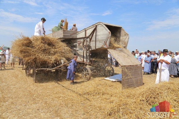 U Đurđinu održano takmičenje risara
