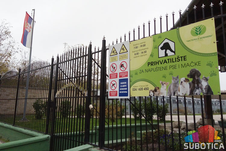U prihvatilištu za napuštene životinje trenutno boravi 270 pasa