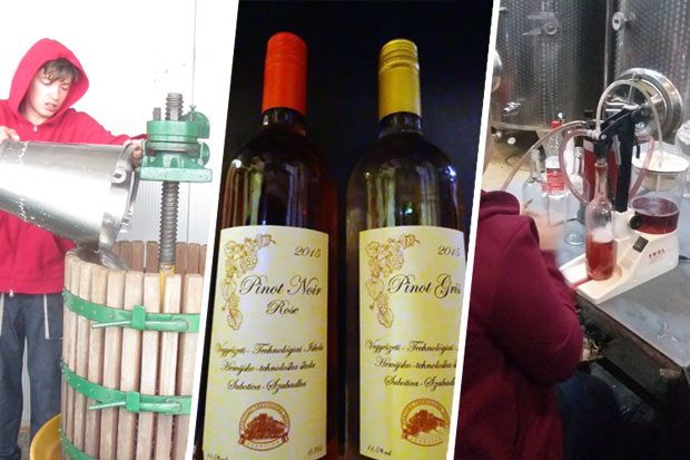 Vinska priča - u školskim okvirima