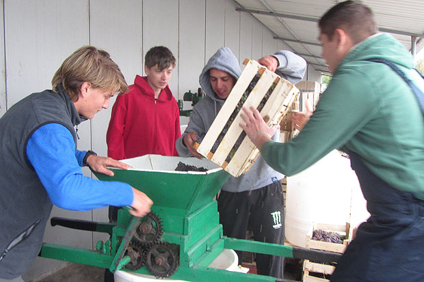 Vinska priča - u školskim okvirima