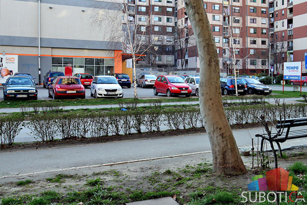 Pretučena devojka na Prozivci