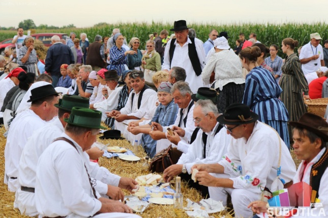 Održano Takmičenje risara