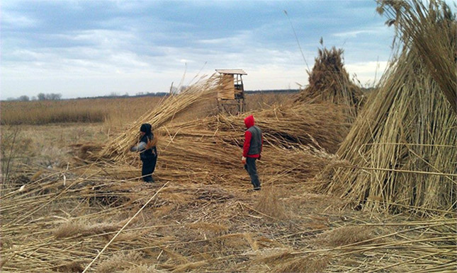 Direktorov inat platiće narod