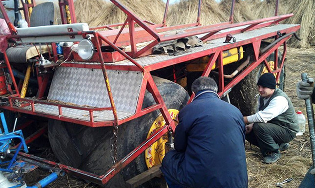 Direktorov inat platiće narod