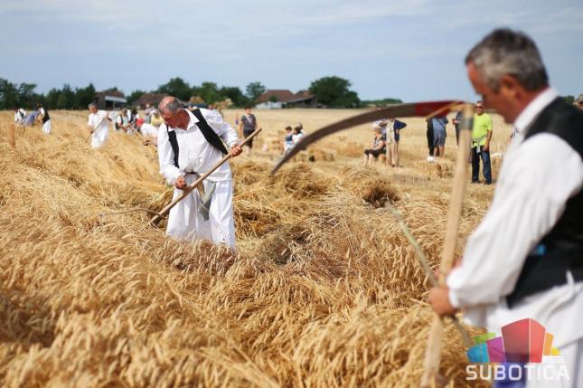 Takmičenje risara bez iznenađenja – najbolji par Stipan Kujundžić i Ruža Juhas