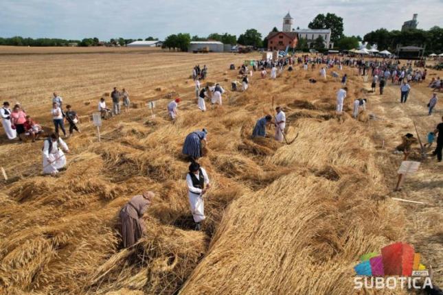 Takmičenje risara bez iznenađenja – najbolji par Stipan Kujundžić i Ruža Juhas