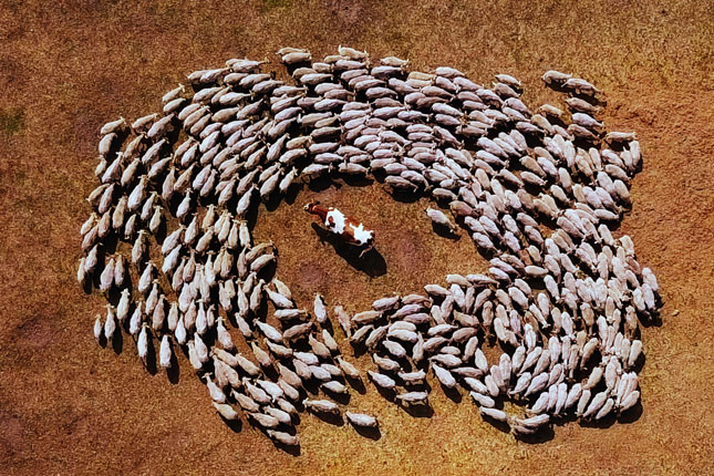 Najbolji evropski dokumentarci i kratkometražni filmovi na palićkom filmskom festivalu