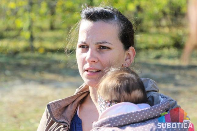 Komšijske svinje zadaju muke stanovnicima Makove sedmice