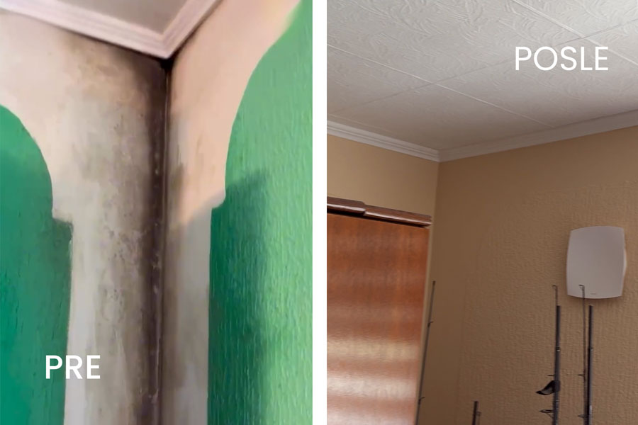 Buđ, vlaga i kondenz – skriveni neprijatelji doma i kako ih zauvek ukloniti